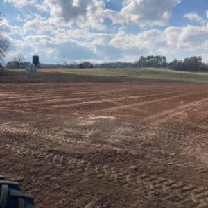 land clearing land clearing