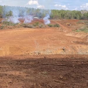 land clearing land clearing